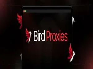 birdproxy blog cover(1).webp